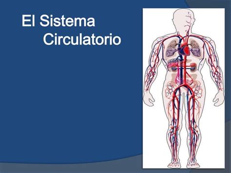 Generalidades Aparato Circulatorio Ppt