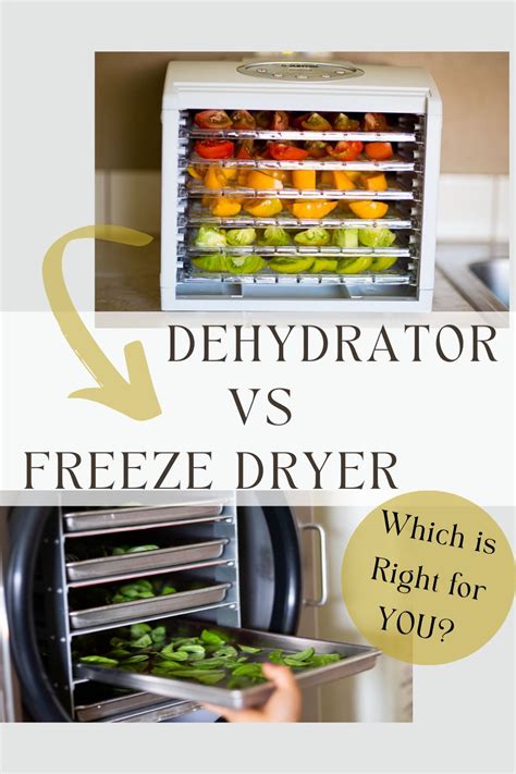 Freeze Dryer vs Dehydrator - GREY & BRIANNA