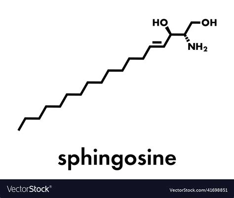 Sphingosine Lipid Molecule Skeletal Formula Vector Image