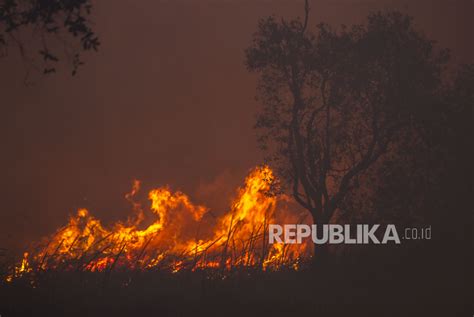 Jelang Kemarau Pemprov Kaltim Antisipasi Kebakaran Hutan Republika