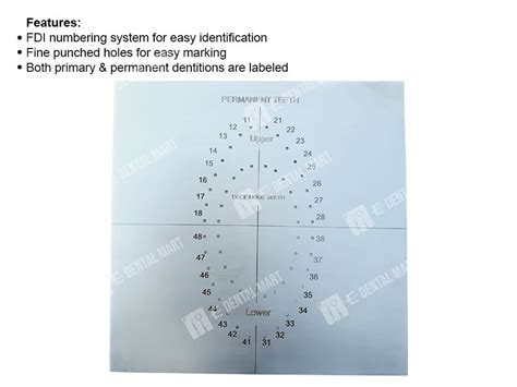 Rubber Dam Sheet Template Buy Rubber Dam Template In Pakistan