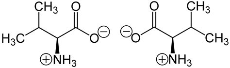 2 Amino 3 methylbutansäure