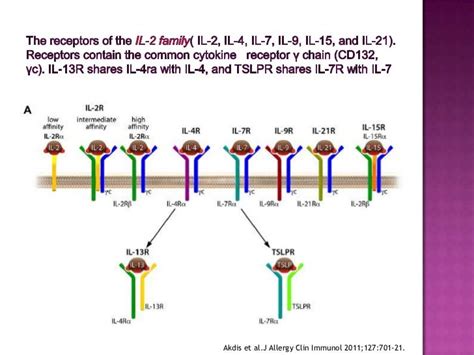 Interleukins And Interferon Gamma