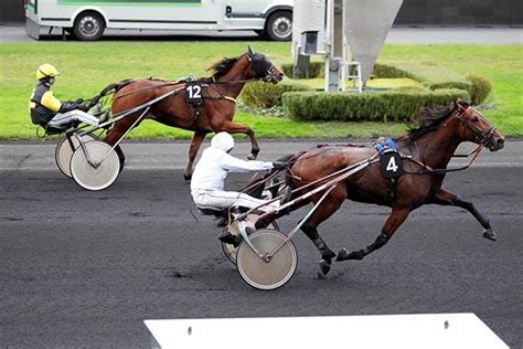 Prix De Cassaigne Partants Et Pronostics Paris Vincennes