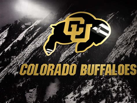100 Colorado Buffaloes Wallpapers