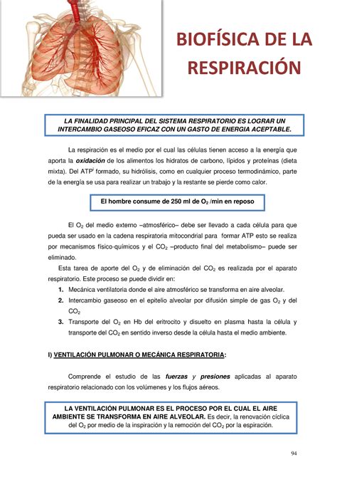 6 Física Biomédica Respiratorio LA VENTILACIÓN PULMONAR ES EL