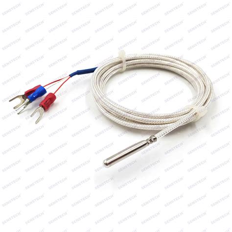 3 Wire Rtd PT100 Waterproof Temperature Sensor Stainless Steel Probe