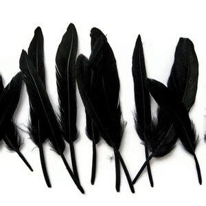 Black Duck Feathers, 1 Pack Black Duck Cochettes Loose Feathers 0.30 Oz. Craft Supply. : 578 - Etsy