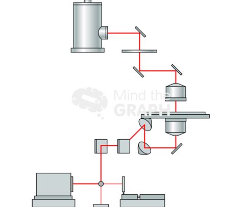 10 Schematic Illustration Of An Ftir Spectrometer