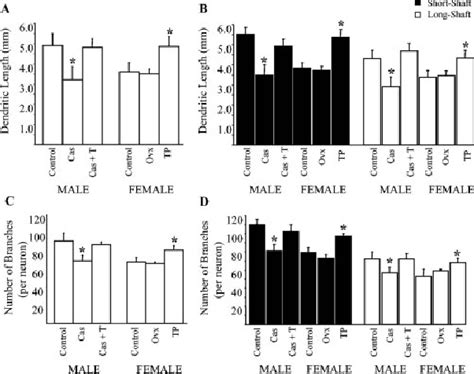 A Mean Dendritic Length Of Ca3 Pyramidal Neurons For Control Males