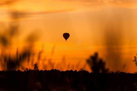 Hot Air Balloon Flying At Sunset Sky Stock Image Image Of Dawn Field