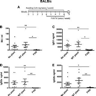 Suppression Of Inhibitor Formation Against Fviii In Balb C Mice With