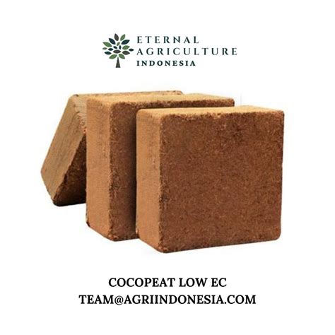 Cocopeat Block Low Ec Inaexport