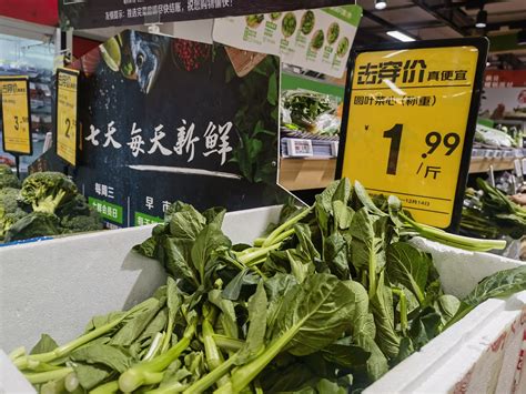 今冬北方蔬菜跌出“白菜价”，广东菜心还好吗？广东省广州市蔬菜价格新浪新闻