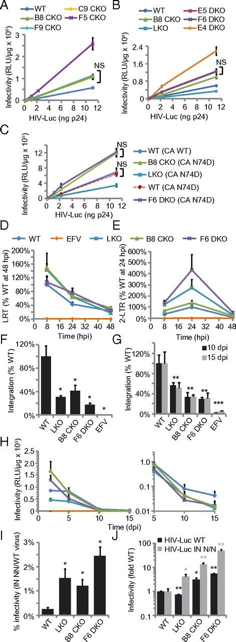 A Critical Role For Alternative Polyadenylation Factor Cpsf6 In