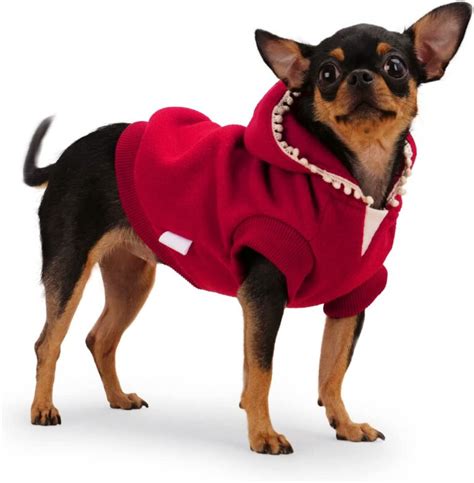 19 Cute Dog Outfits That'll Make Your Pup Look Irresistible