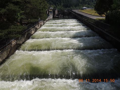 Bonneville Dam Fish Ladder, Columbia River