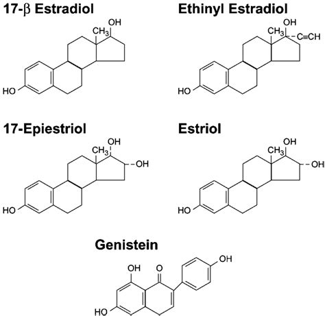 Structure Of Various Estrogen Receptor Ligands Download Scientific