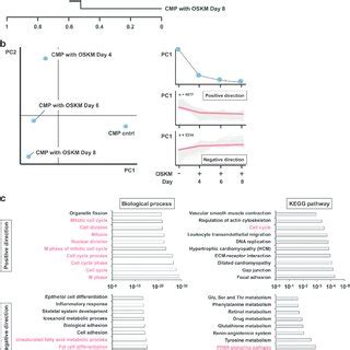 Global Gene Expression Of OSKM Transduced CMPs A Hierarchical