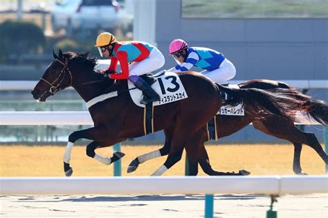 ディスタントスカイ の写真ギャラリー 競馬ニュースなら競馬のおはなし