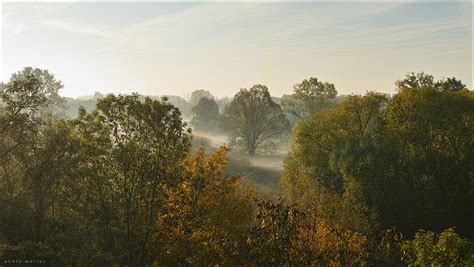 Saale Elster Aue im Morgenlicht Jörg Weitzenberg Flickr