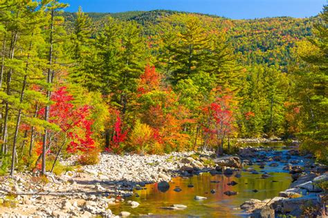 White Mountains Autumn Free Stock Photo - Public Domain Pictures