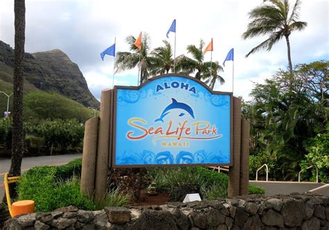 Sea Life Park - Private Tours Hawaii : Personalized - Customized - Private Tours on Oahu