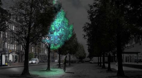 Awesome Glowing Roads That Could Be The Highways Of The Future Wired