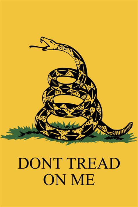 Gadsden Flag | Custom Flag Company