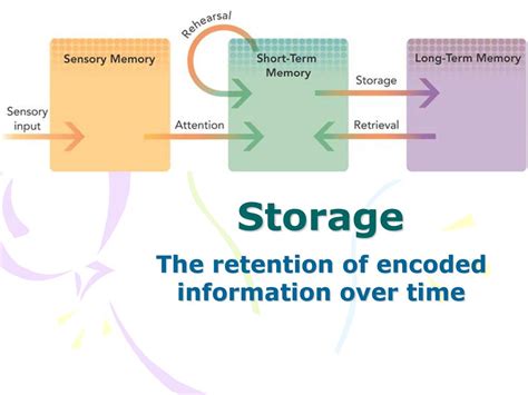 Introduction To Memory And Encoding Ppt Download