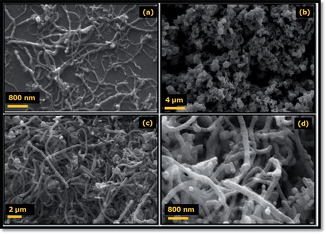 Sem Micrographs Of A Mwcnts And B Pure Pedot Polymer C And D