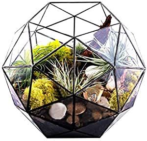 Elegant Geometric Flower Pot Glass Terrarium Container Modern Tabletop