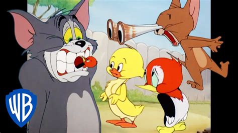 Том и Джерри | Королевство животных | WB Kids - YouTube
