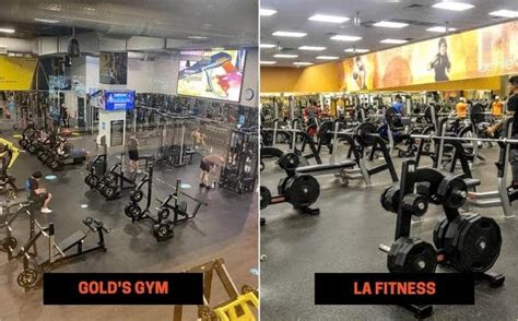 Gold S Gym Vs La Fitness Differences Pros Cons