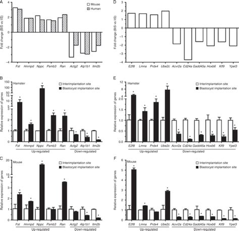 Real Time Rt Pcr Validated The Expression Of 18 Altered Genes Relative