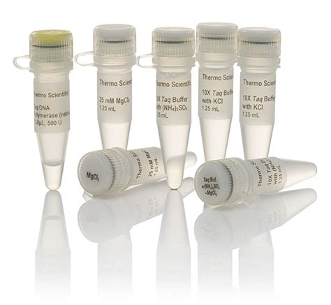 Thermo Scientific Taq DNA Polymerase, native (5 U/ L) Without BSA, 500 ...