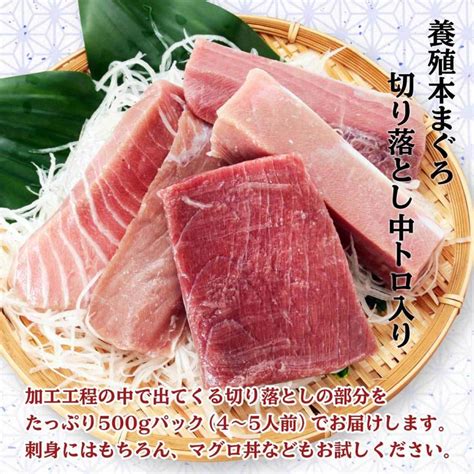 送料無料 新洋水産 薩摩串木野まぐろの館 詰合せセット 薩摩串木野 まぐろの館 マグロづくしセットb まぐろ 詰め合わせ期間限定