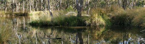 Kennington Reservoir And Strathdale Park 38 Reviews Map Victoria