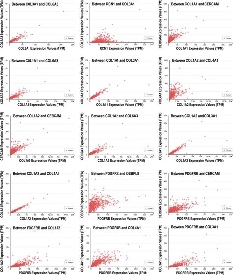 Gene Expression Correlation Between Four Types Of Selected Genes In