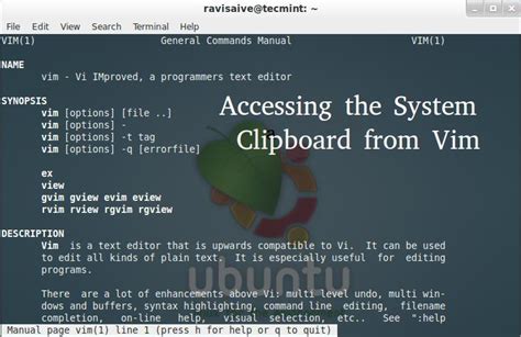 Accessing Clipboard Contents Across Multiple Instances Of Vim From Terminal