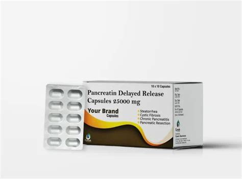 Pancreatin Delayed Release Capsules At Rs 650 Stripe In Sonipat ID