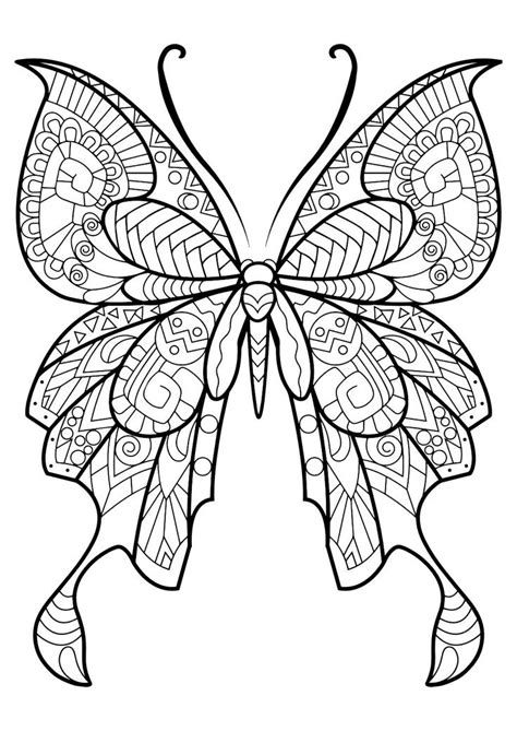 Realistic Butterfly Drawing at GetDrawings | Free download
