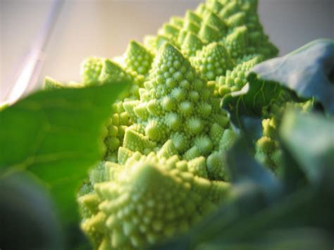 Fractal Vegetables By Electricheart On Deviantart