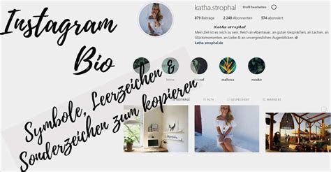 Biografie Vorlage Instagram Financial Report