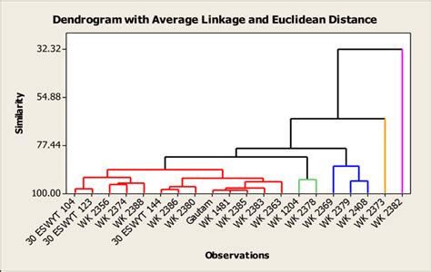 UPGMA Unweighted Pair Group Method Arithmetic Average Clustering Of