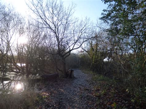 Windmill Pool At Earlswood Lakes Muddy Path A Boxing Day Flickr