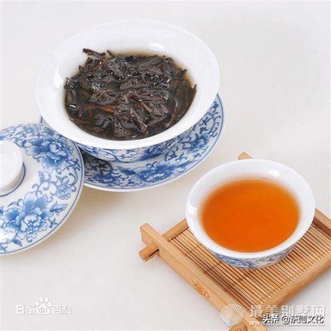 春夏秋冬分别喝什么茶对身体好？ 每日头条