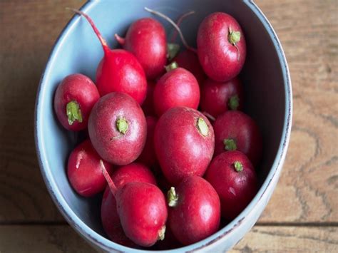 20 Different Types Of Turnip With Images