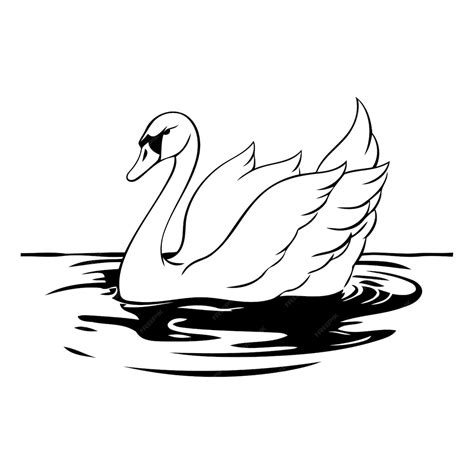 Premium Vector Swan Swimming In The Water Vector Illustration On