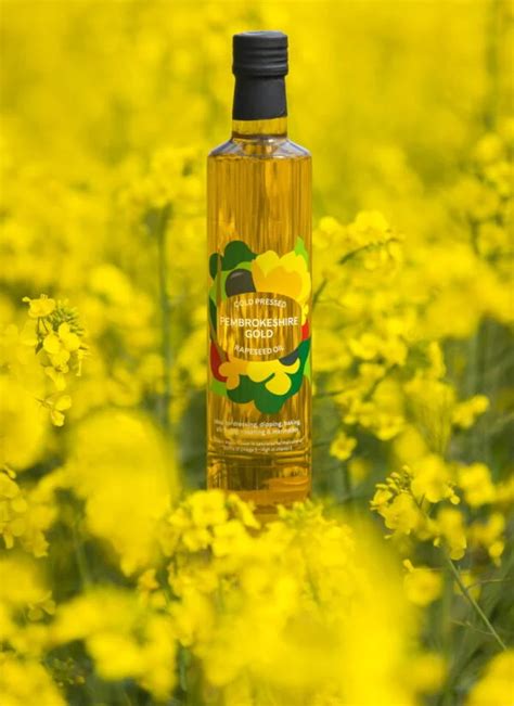 Cold Pressed Rapeseed Oil Welsh Rapeseed Oil